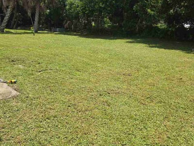 Lawn Care service in Sebring, 33870