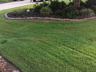 Lawn Care service in Toano, 23168
