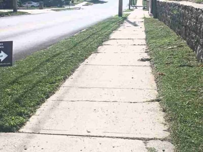 Lawn Care service in Lynnwood, 98036