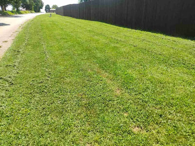 Lawn Care service in Rogers, 72756
