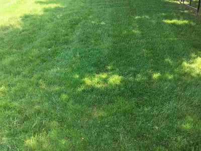 Lawn Care service in Sapulpa, 74066