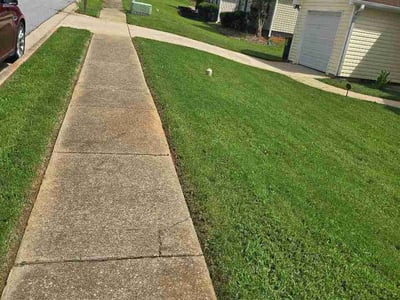 Lawn Care service in ,