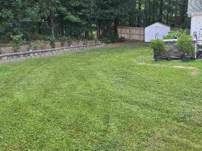 Lawn Care service in Princeton, 24740
