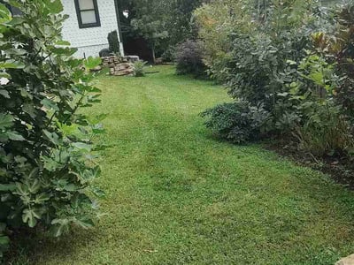 Lawn Care service in Arden, 28704