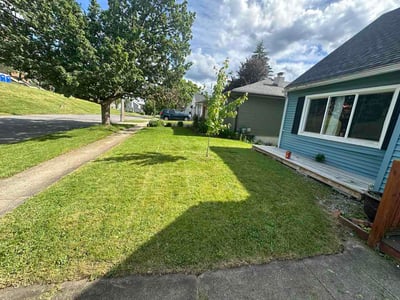 Lawn Care service in Syracuse, 13202