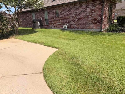 Lawn Care service in Gonzales, 70737