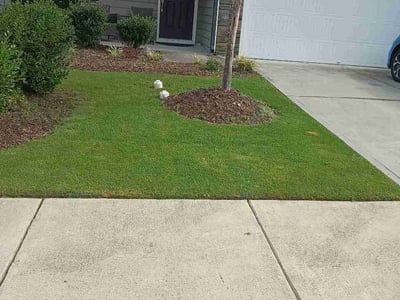 Lawn Care service in Piedmont Triad, 27523