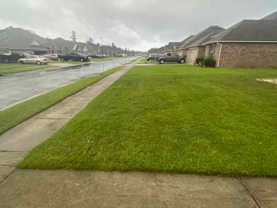 Lawn Care service in Denham Springs, 70726
