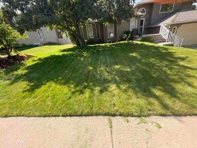 Lawn Care service in East Wenatchee, 98802