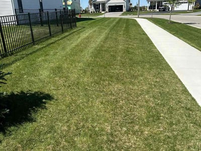 Lawn Care service in Wheaton, 60187
