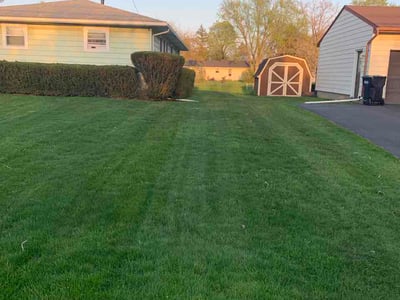 Lawn Care service in Victor, 14564