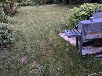 Lawn Care service in Capitol Heights, 20743