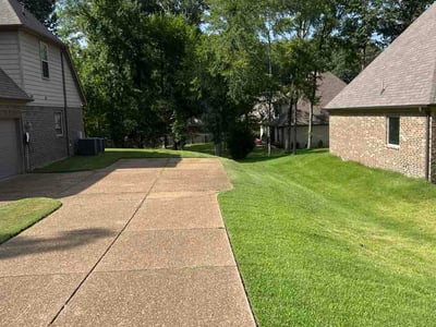 Lawn Care service in Jackson, 38301