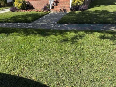 Lawn Care service in Hayes, 23072