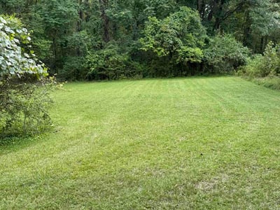 Lawn Care service in Woodford, 22580