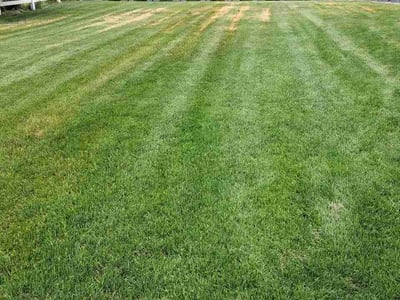 Lawn Care service in Colville, 99114