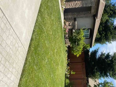 Lawn Care service in Manteca, 95336