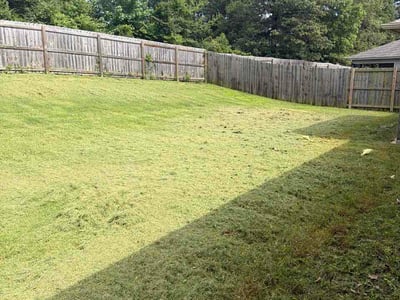 Lawn Care service in Jonesboro, 72401