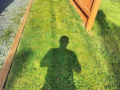 Lawn Care service in Marysville, 98270