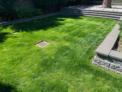 Lawn Care service in Mercer Island, 98040