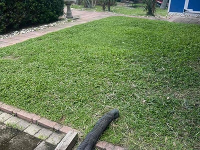 Lawn Care service in Happy Valley, 97086