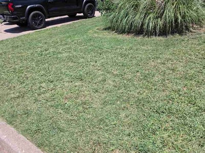 Lawn Care service in Lawton, 73501