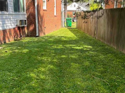 Lawn Care service in Powhatan, 23139
