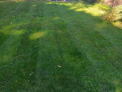 Lawn Care service in Hilton, 14468