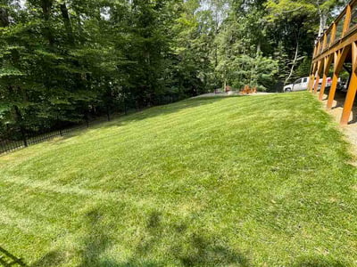 Lawn Care service in Candler, 28715