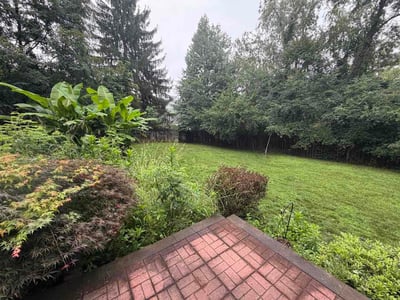 Lawn Care service in Candler, 28715