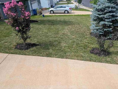 Lawn Care service in Front Royal, 22630