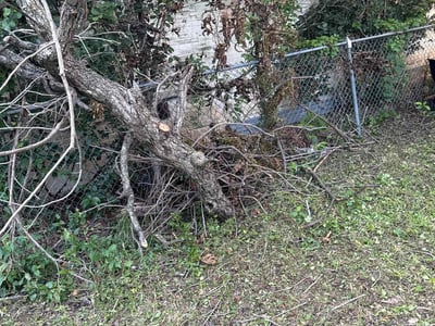 Lawn Care service in Burbank, 91502