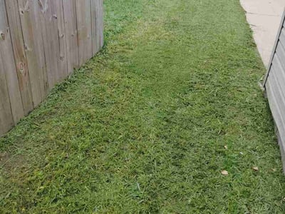 Lawn Care service in Chesapeake, 23320