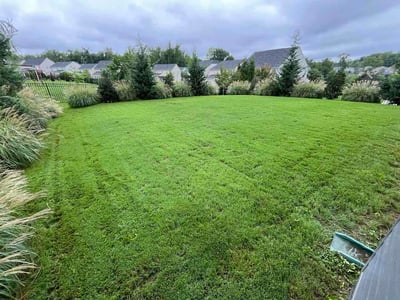 Lawn Care service in Mooresville, 28115