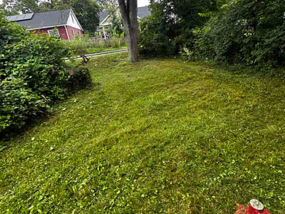 Lawn Care service in Clyde, 28721