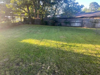 Lawn Care service in Denison, 75021