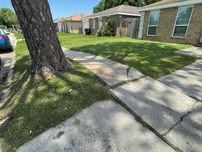 Lawn Care service in Canby, 97013