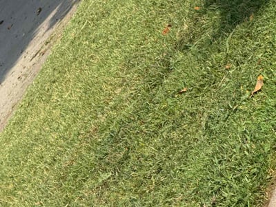 Lawn Care service in Canby, 97013