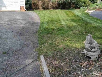 Lawn Care service in Chester, 23831