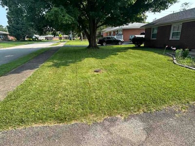 Lawn Care service in Jeffersontown, 40299