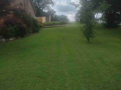 Lawn Care service in Little Rock, 72201