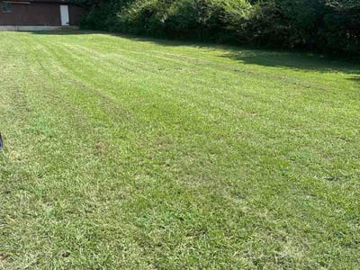 Lawn Care service in Little Rock, 72201