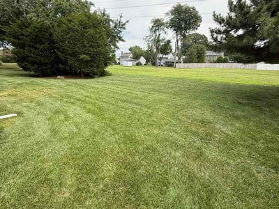 Lawn Care service in Millville, 08332
