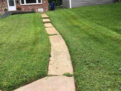 Lawn Care service in Saint Ann, 63074