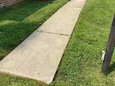 Lawn Care service in Colonial Heights, 23834