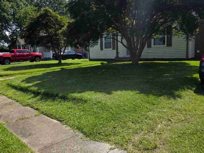 Lawn Care service in Harrisonburg, 22802