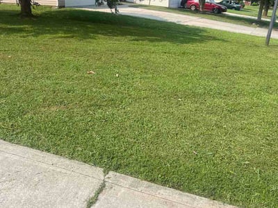 Lawn Care service in Kannapolis, 28083