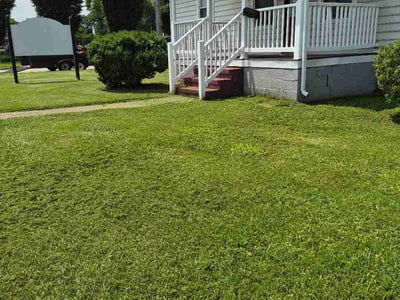 Lawn Care service in Hopewell, 23860