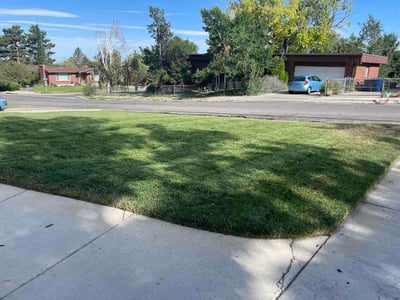 Lawn Care service in Sandy, 84092