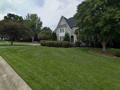 Lawn Care service in Vestavia Hills, 35216